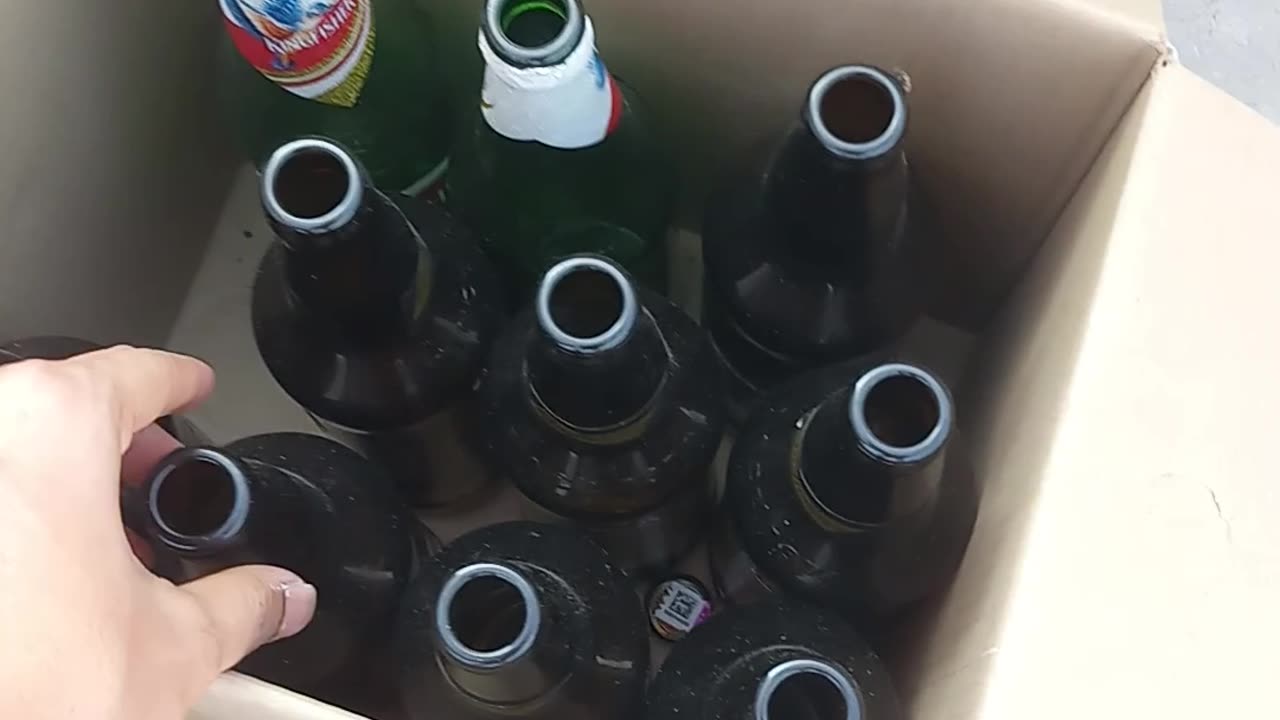 Beer bottle caught by my mom