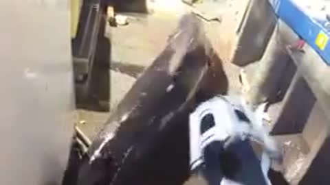 sharks on a fishing boat(it's real!!!!!)