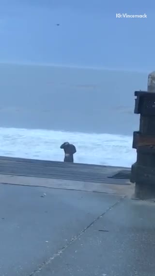 Black wetsuit guy doing stretches on beach