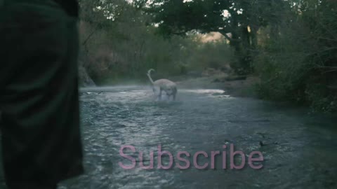 Dog catching ball in the river