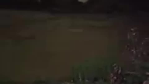 ATENTADO DANA abrieron presas y no no llovira en ese momento 1