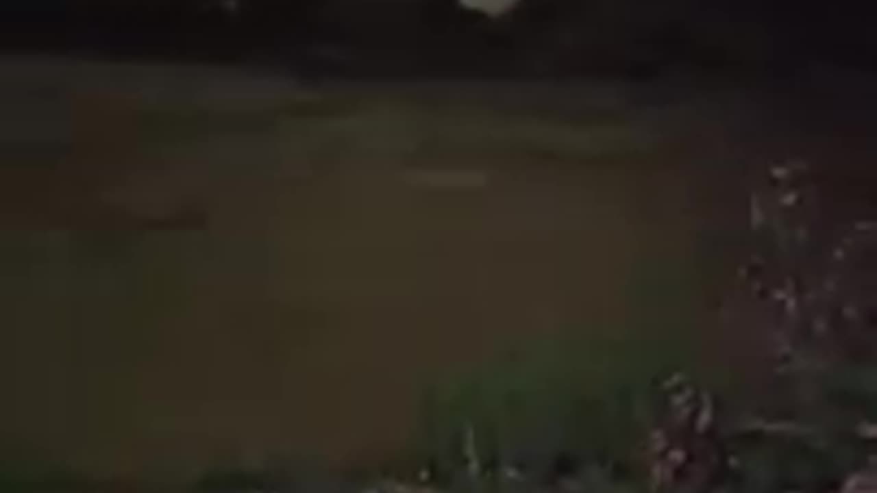 ATENTADO DANA abrieron presas y no no llovira en ese momento 1