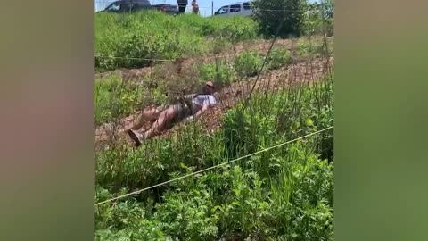 One hundred funniest video clips