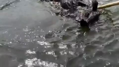Fishing techniques