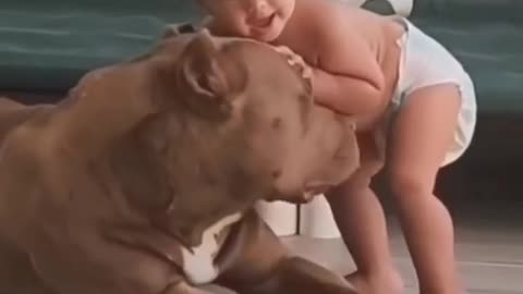 fanny dog