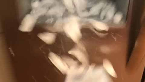 Girl pulls jammed ice out of ice machine a bunch fall out