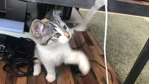 Watch the cat trying to cut off the charger, very funny