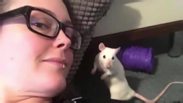 Crazy Rat lady