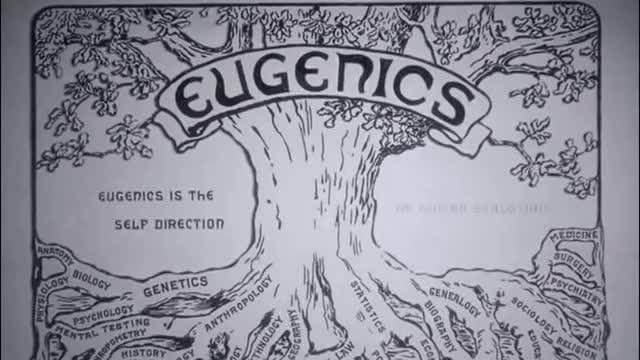 Expelled (Excerpt) - The Connection Between Darwinism and Abortion