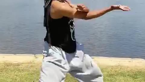 Taekwondo/Hapkido Kicking Techniques