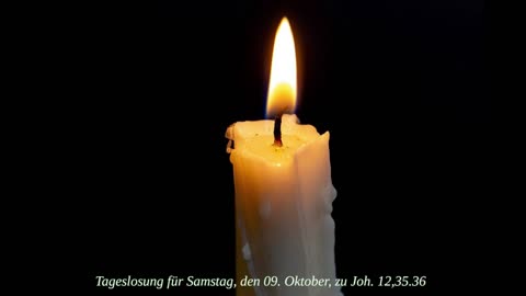 Tageslosung für Samstag, den 09. Oktober, zu Joh. 12,35.36