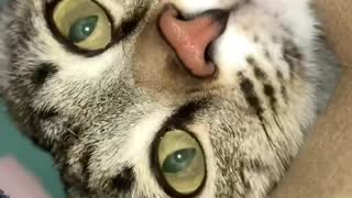 Feel my nose on your cheek!
