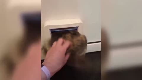 TRY NOT TO LAUGH IMPOSSIBLE l Part 1
