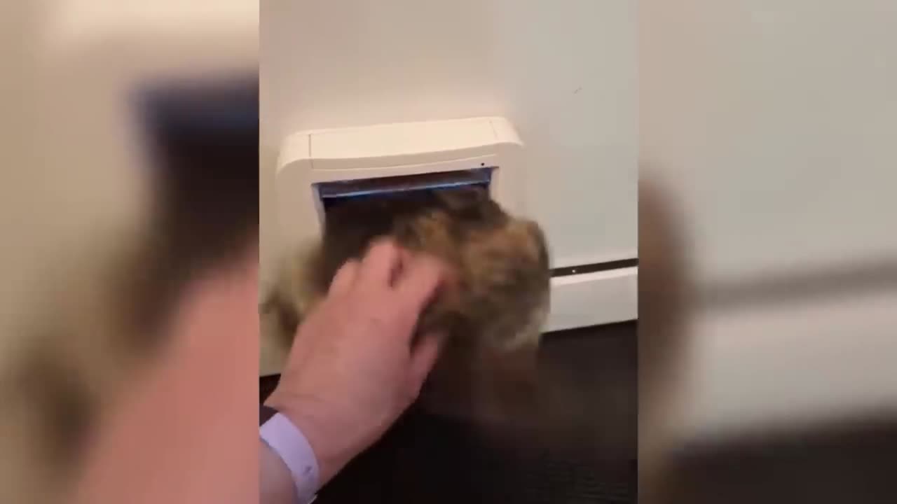 TRY NOT TO LAUGH IMPOSSIBLE l Part 1
