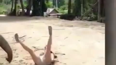 elephant drops a girl with their trunk