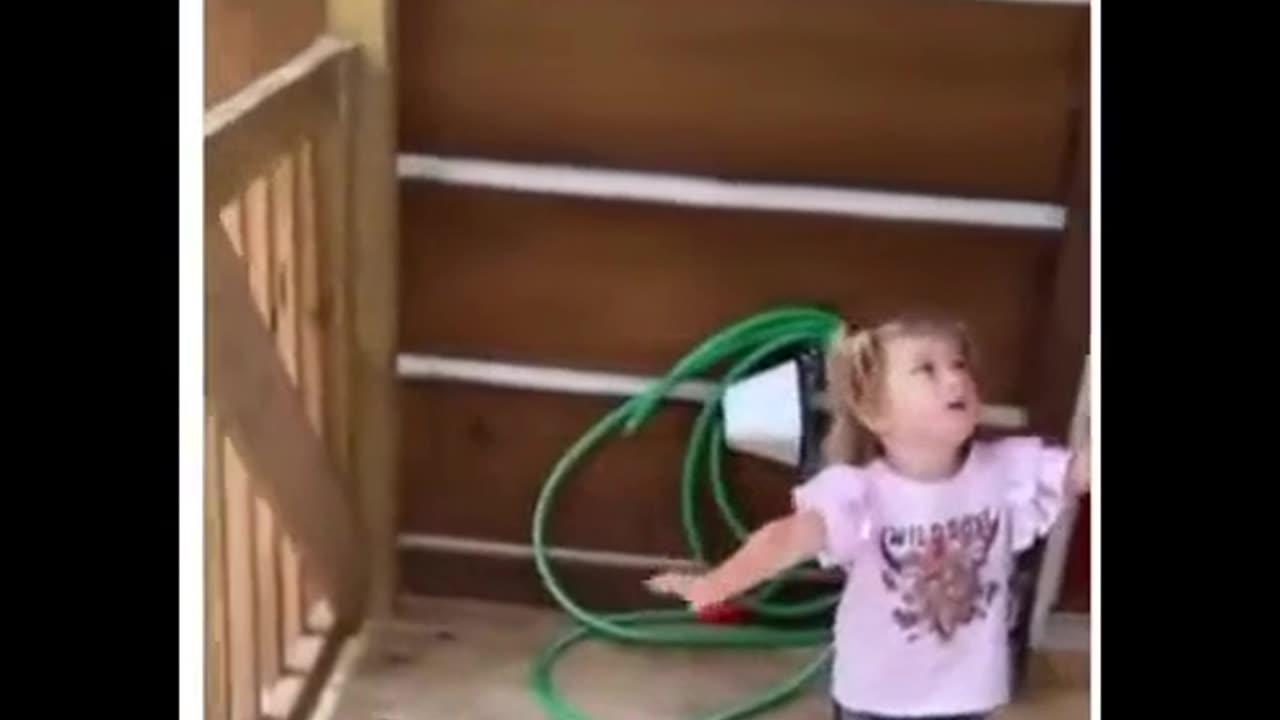 Can I Pet Dat Dawg!? (HILARIOUS) 😂🤣