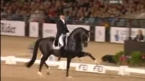 Dressage - Edward Gal And Moorlands Totilas