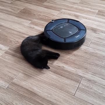 The fight continues.