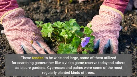 Getting My Garden - Martha Stewart To Work