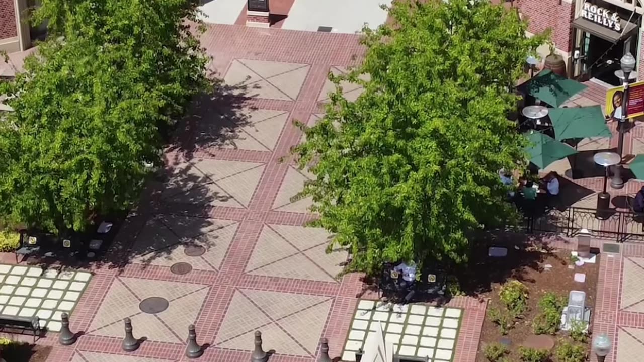 Why Ivy League schools is taking taxpayer money... it's n..