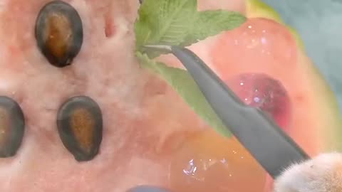 Ninja cat making melon juice