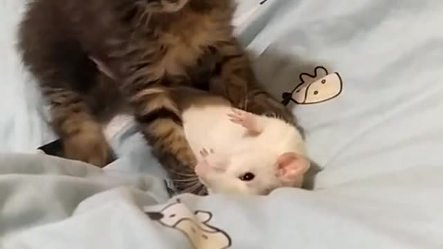 they do not beat those lying down ...