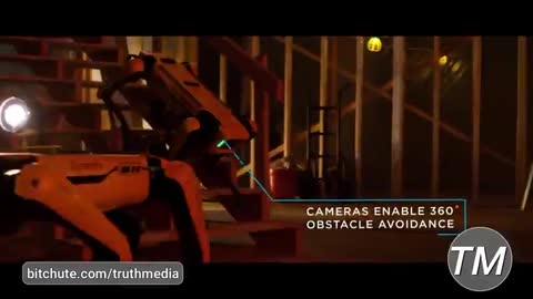 TEMPERATURE TAKING LOCK-DOWN COVID ROBOT DOG HUNTS DOWN CITIZENS. OK SO HOW DO WE KILL THIS THING?