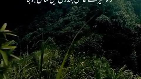 Quran translation in urdu heard teaching