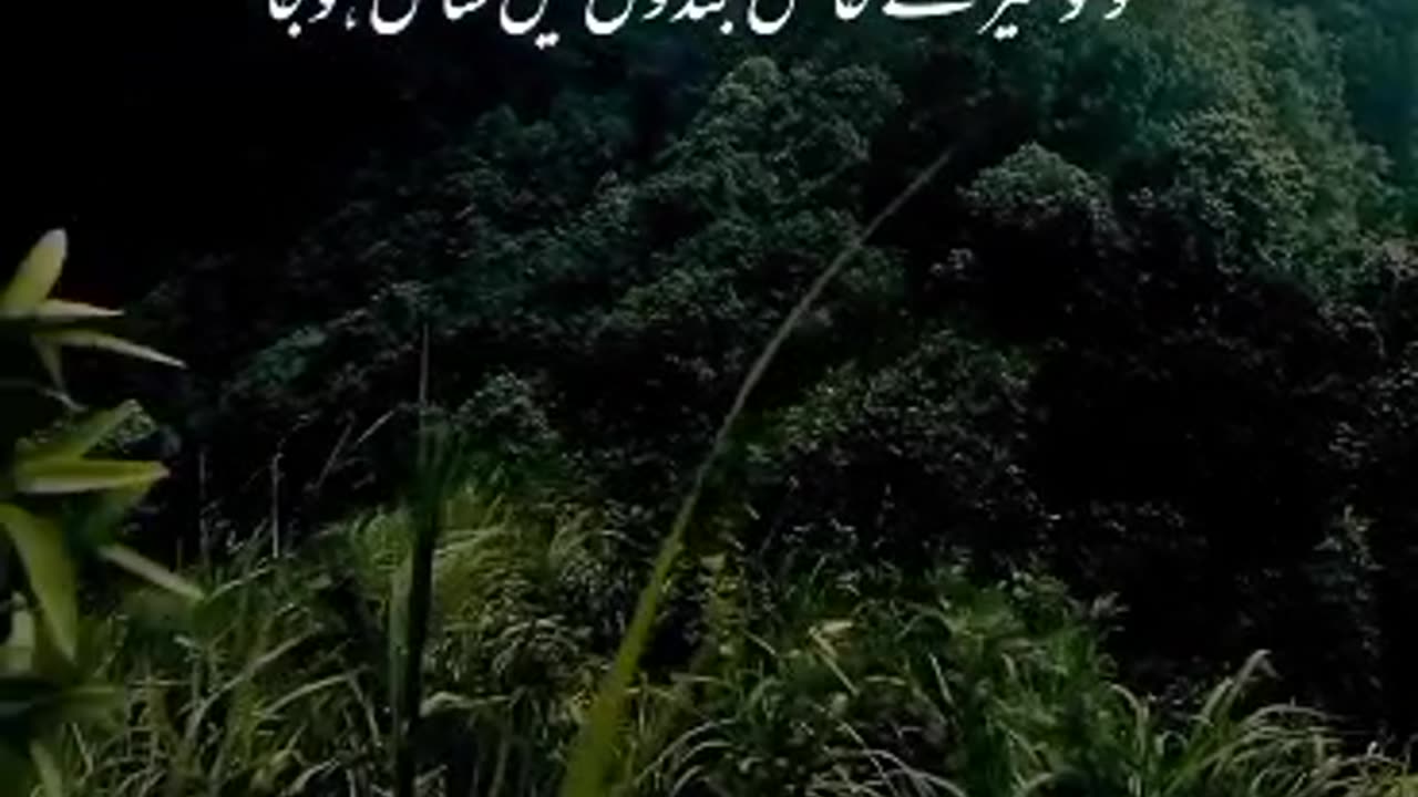 Quran translation in urdu heard teaching