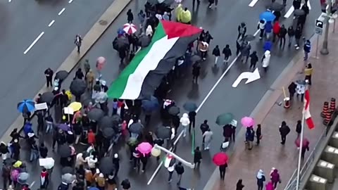 Stop the Genocide of Innocents, Stop Killing Palestinians,