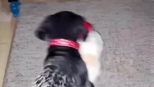 I hate to sleep alone too.