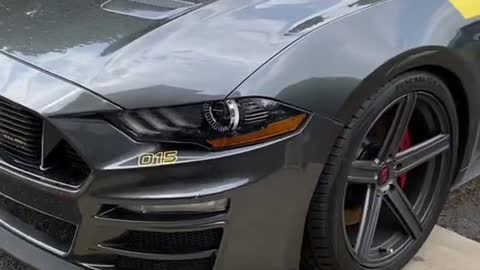 The ford mustang