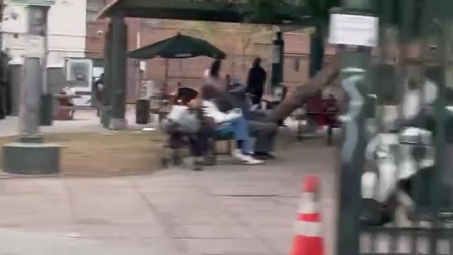 This is what they want ALL of America to look like!