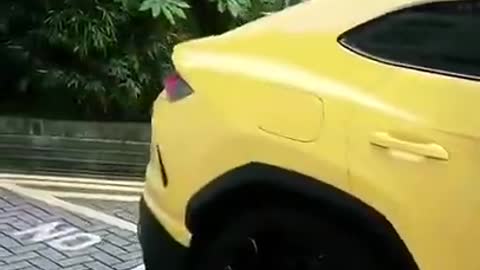 GUESS THE CAR #carslovers #shorts #modified