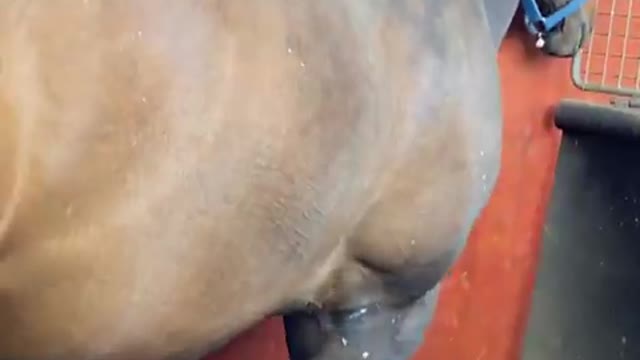 2022-5-29 Walking machine-1