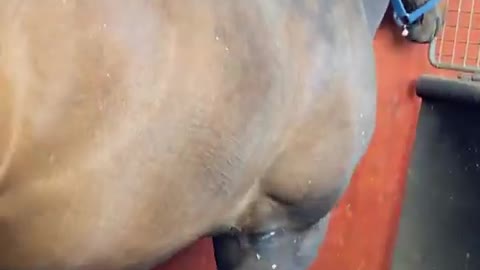 2022-5-29 Walking machine-1