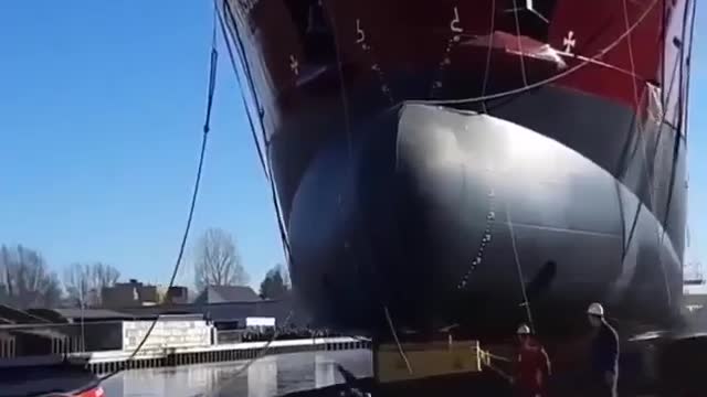 Wonderful Scence Captured On Camera