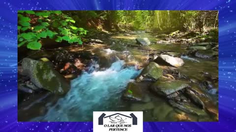 BARULHO DE ÁGUA, PÁSSAROS E FLAUTA INDÍGENA (MUSICA PARA RELAXAMENTO)