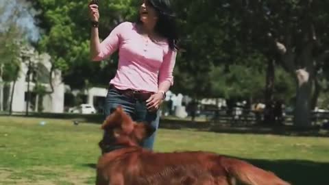 A girl trained a dog