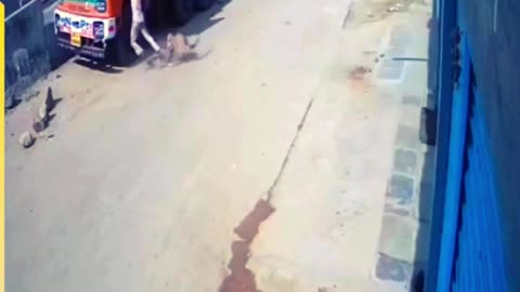 LEOPARD ON THE LOOSE