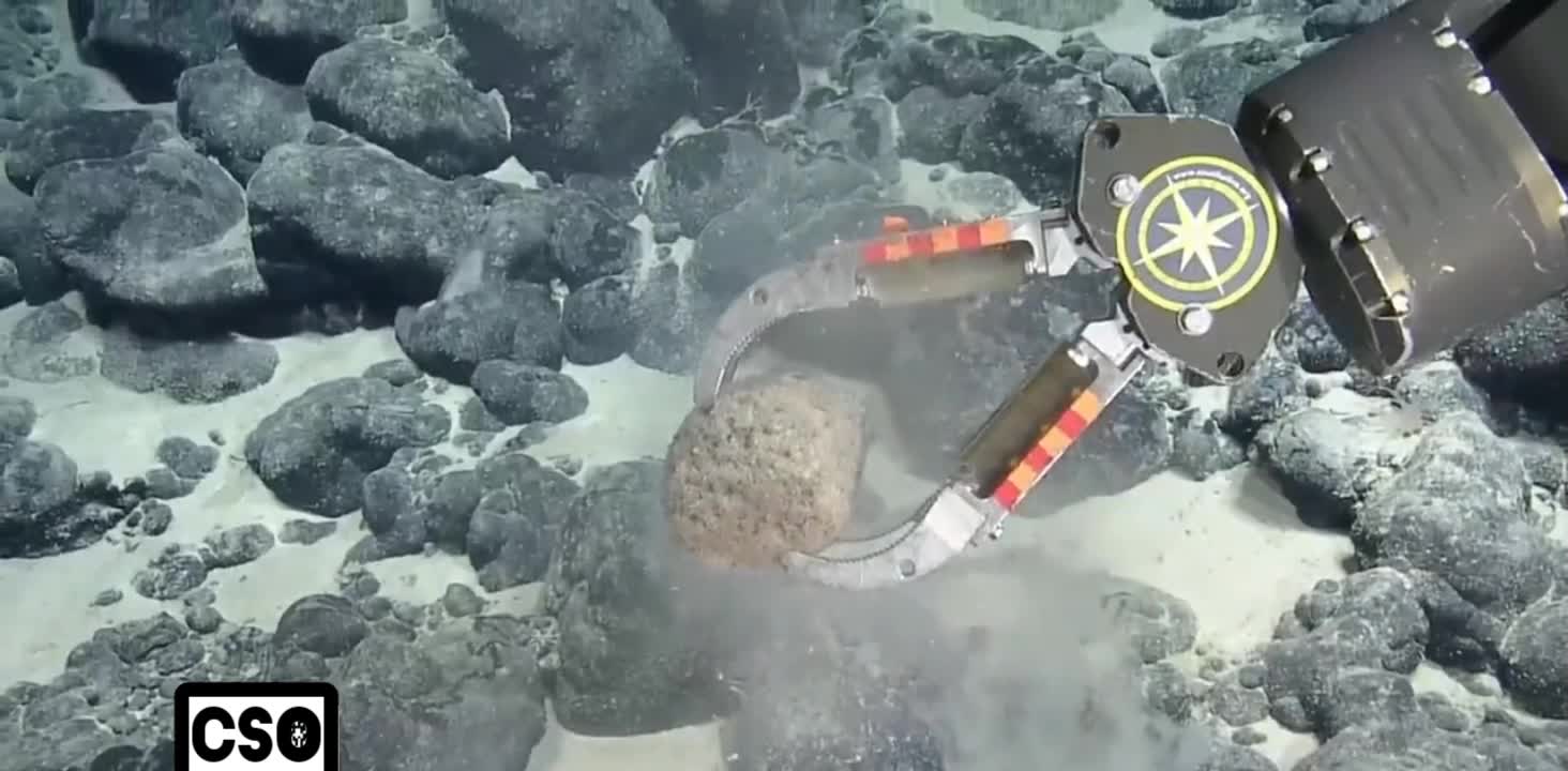 É encontrada no fundo do oceano, estrutura parecida com uma estrada