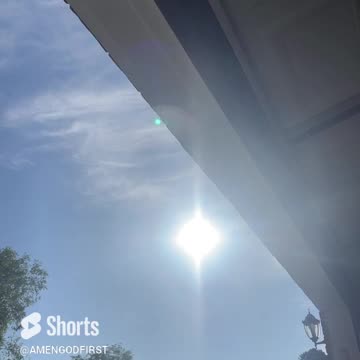 birds so peaceful today! #fyp