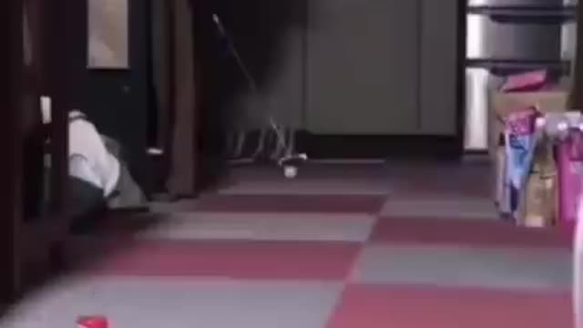 Respect for