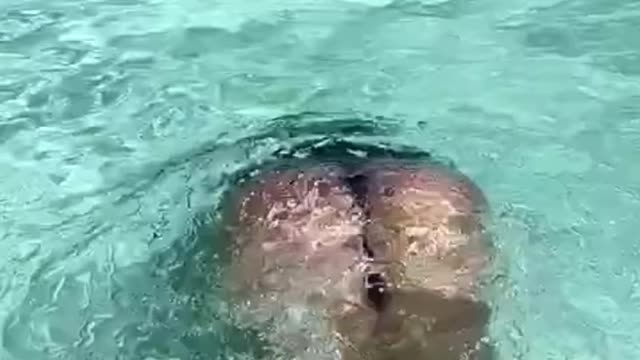 BIG ASS WORKOUT IS SO WET 🔥
