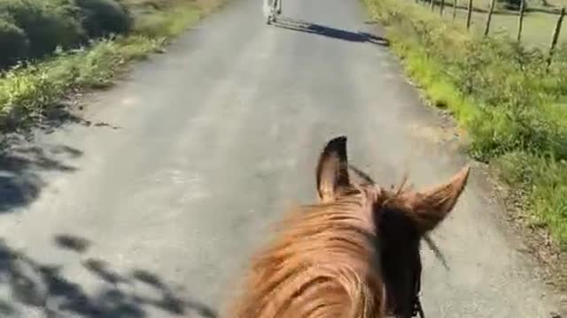 ride out on horseback