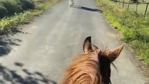 ride out on horseback