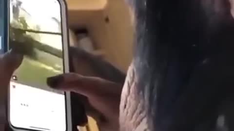 If human ancestors were monkeys. Learning human things is fast