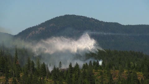 Airplane drop water in jungle, wildfire