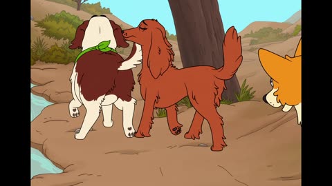 Cherry Irish Setter Butt Moments