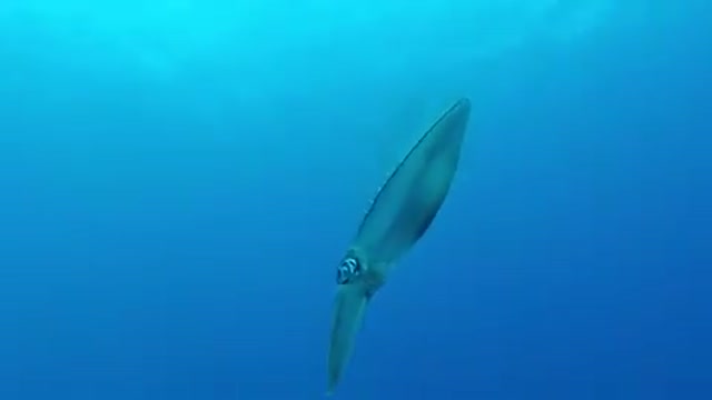 Beautiful underwater view